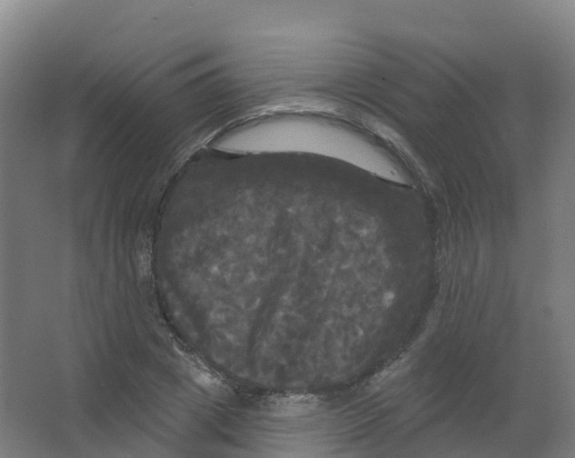 X0000066930833200604141955