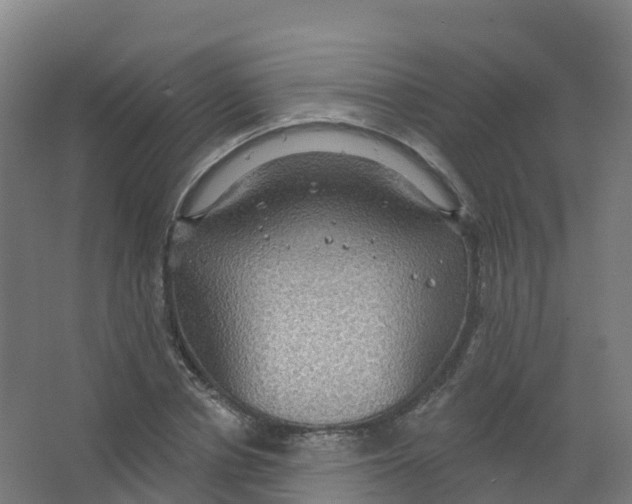 X0000066930834200604141955