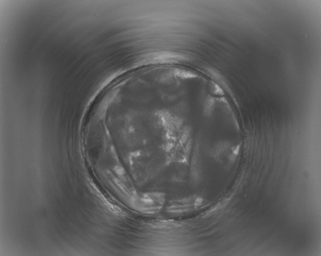 X0000066930835200604141955