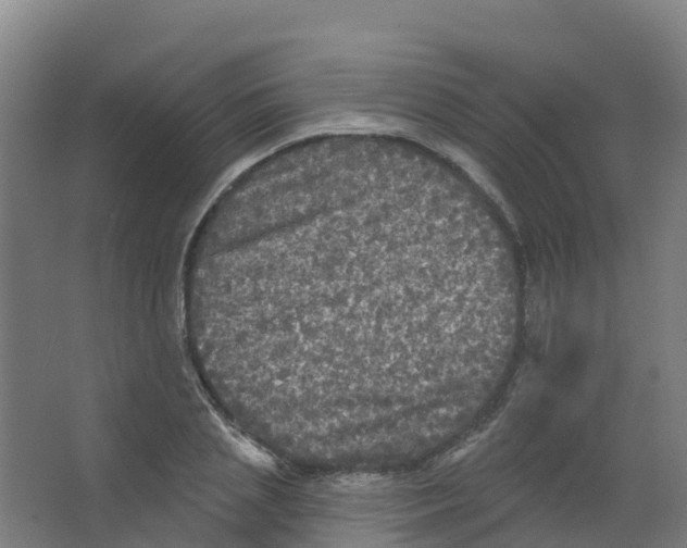 X0000066930837200604141955