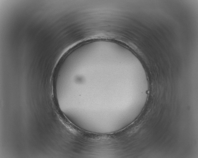 X0000066930838200604141956