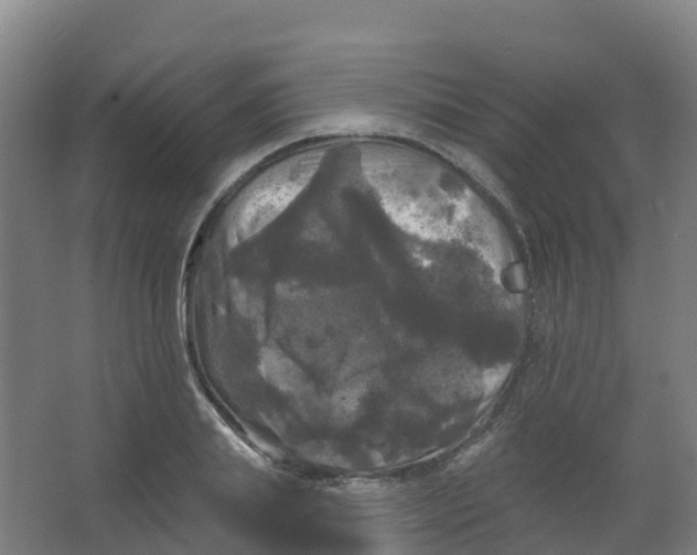 X0000066930839200604141956