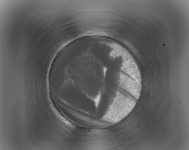 X0000066930840200604141956