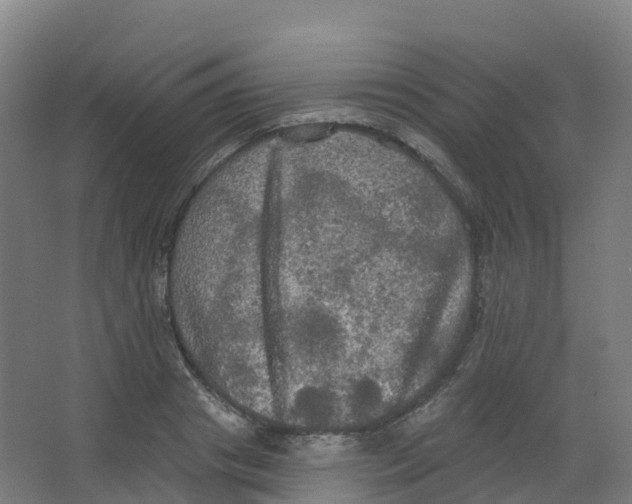 X0000066930841200604141956