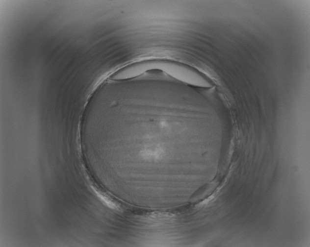 X0000066930842200604141956