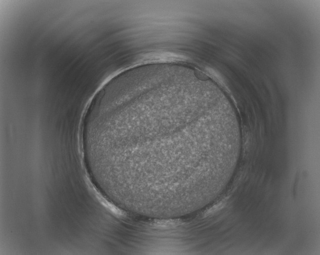 X0000066930843200604141956