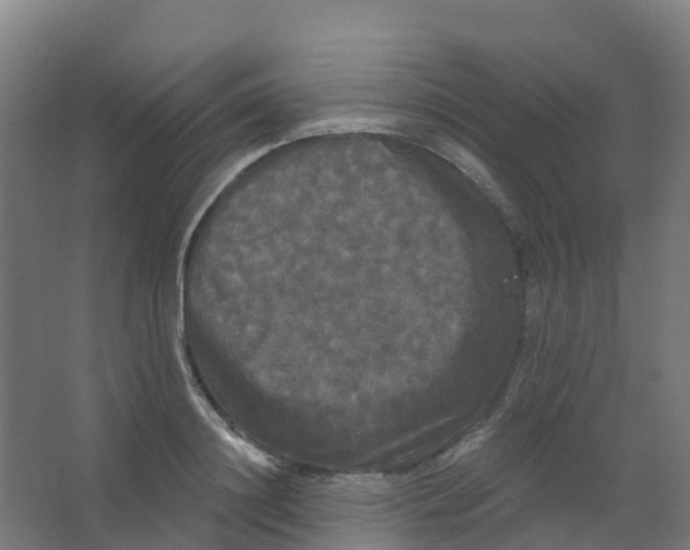 X0000066930844200604141956