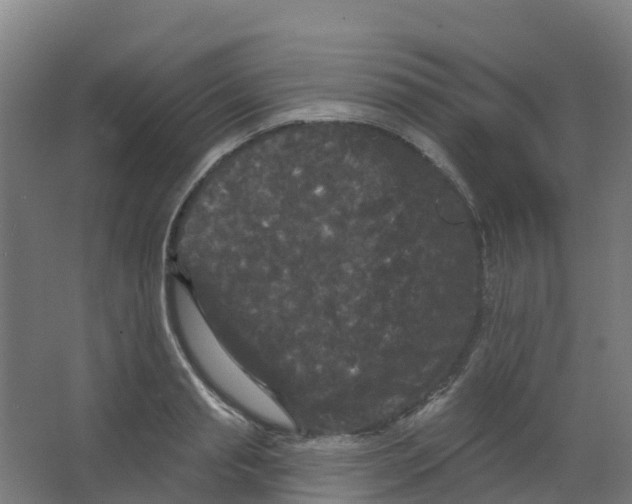 X0000066930845200604141956