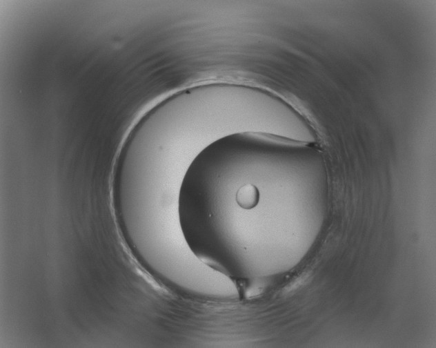 X0000066930846200604141956