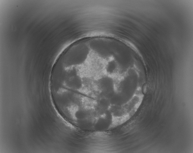 X0000066930847200604141956