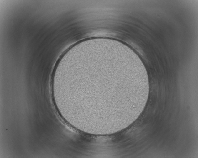 X0000066930848200604141956