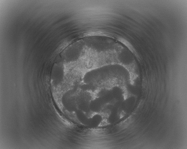 X0000066930849200604141956