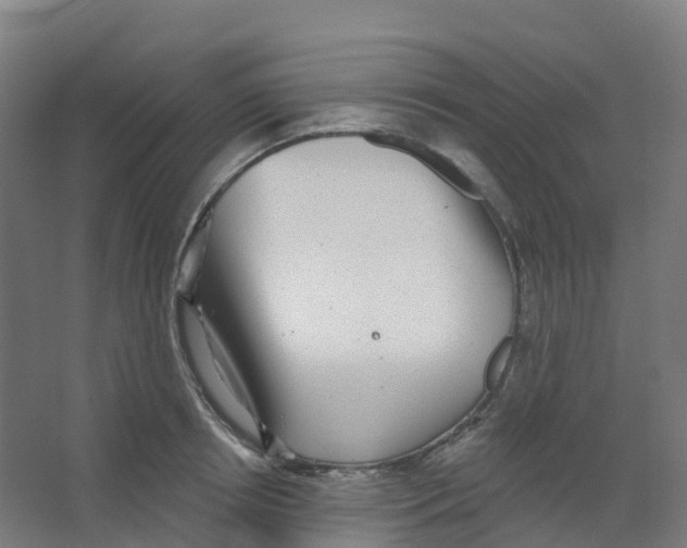 X0000066930850200604141956