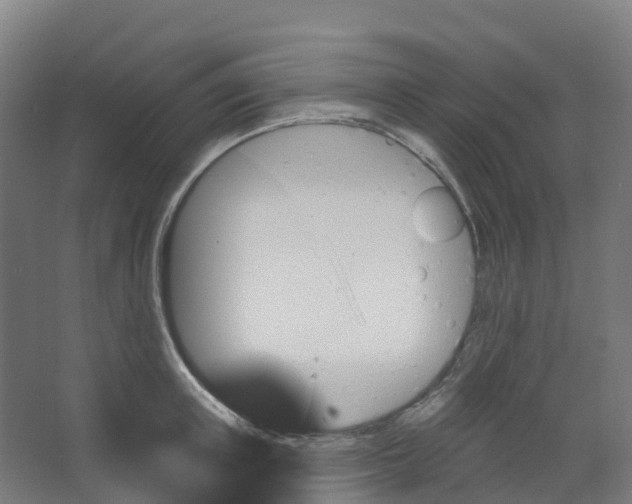 X0000066930851200604141956