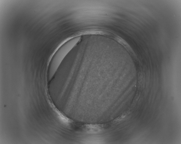 X0000066930852200604141956