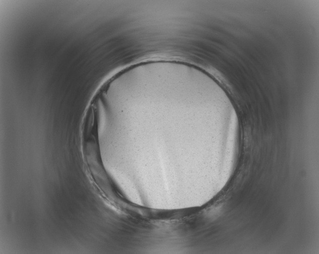 X0000066930854200604141956