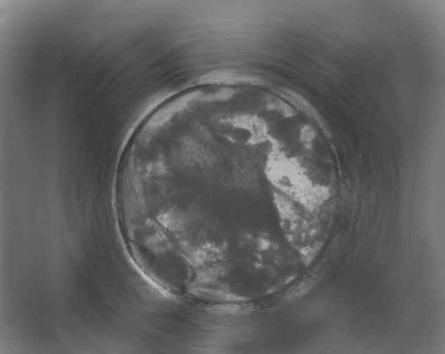 X0000066930855200604141956