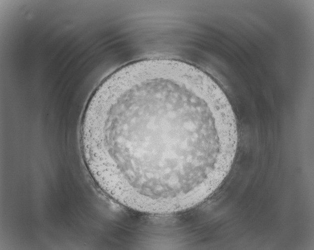 X0000066930856200604141956