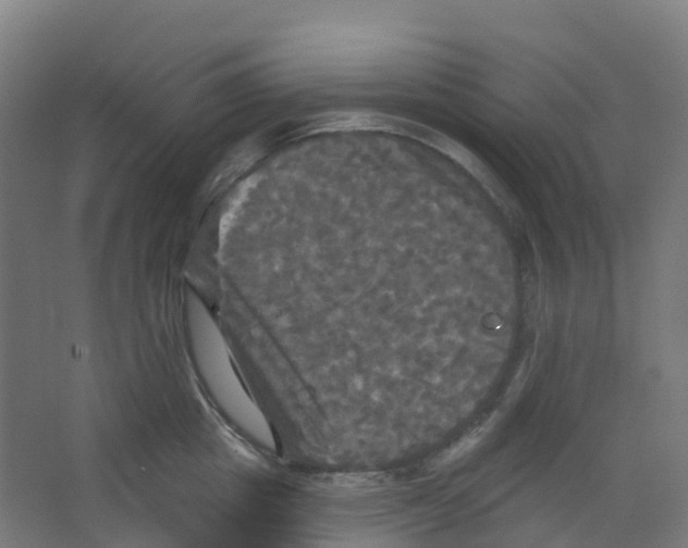 X0000066930857200604141956