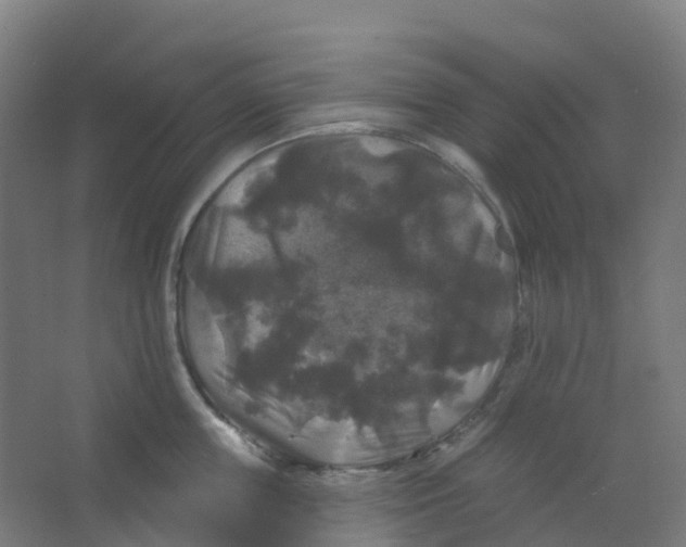 X0000066930859200604141956