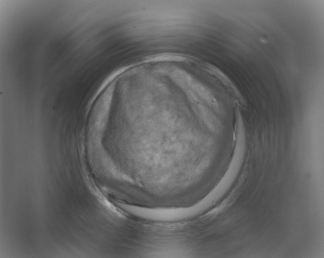 X0000066930860200604141956