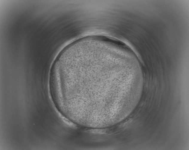 X0000066930861200604141956