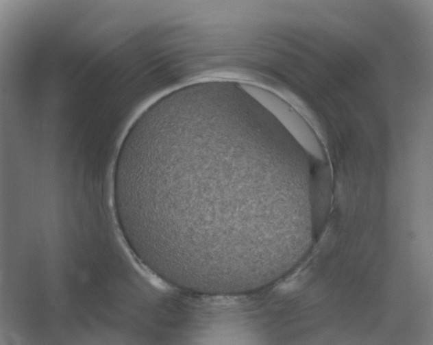 X0000066930862200604141956