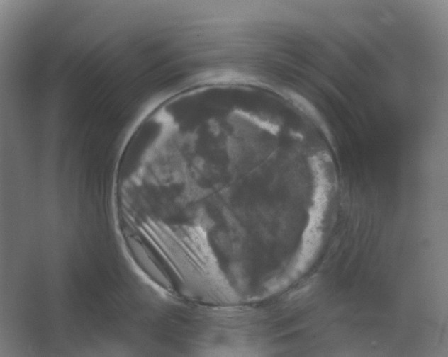 X0000066930863200604141956