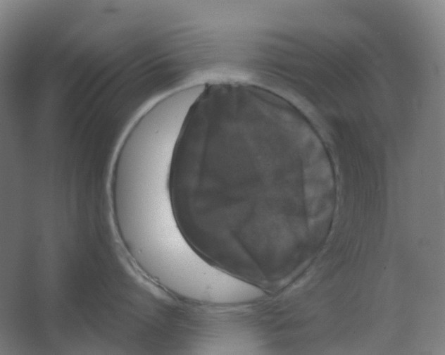 X0000066930864200604141956