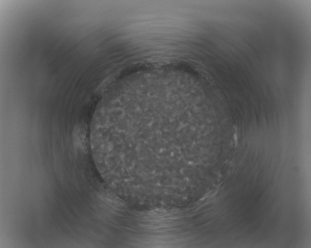 X0000066930867200604141955