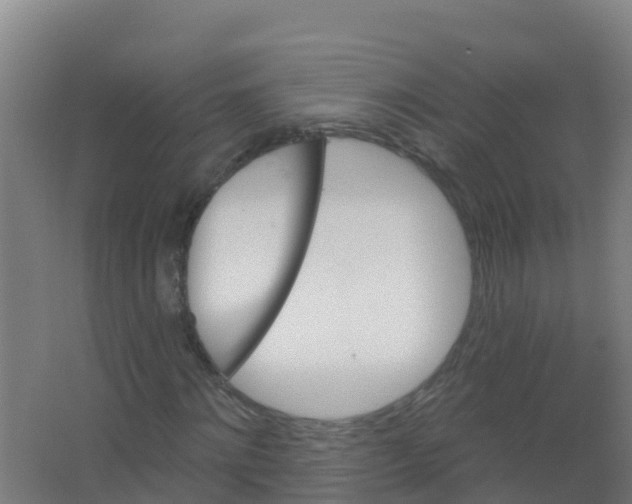 X0000066930868200604141955