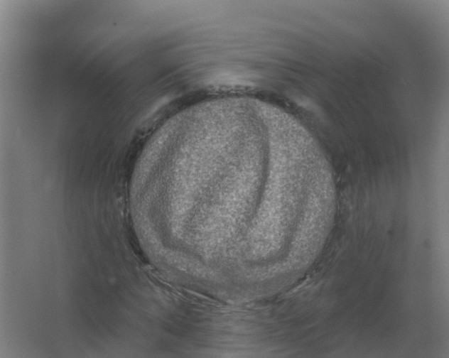 X0000066930870200604141955