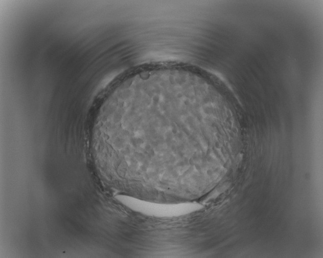 X0000066930871200604141955