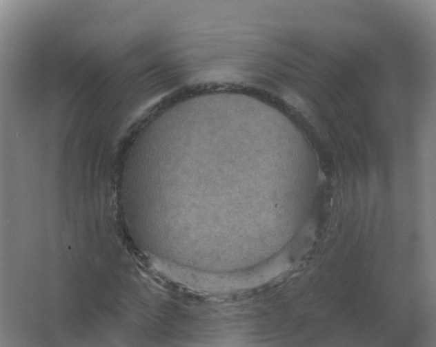 X0000066930872200604141955