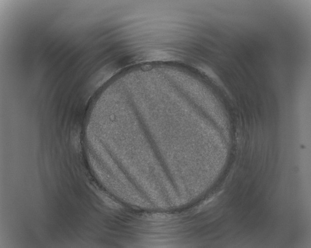 X0000066930873200604141955