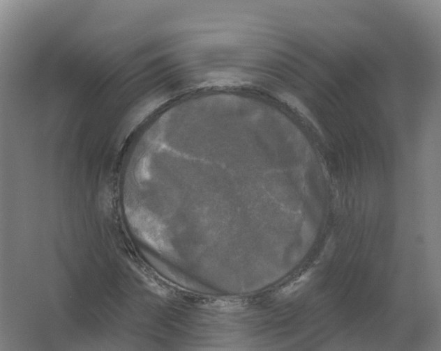 X0000066930874200604141955