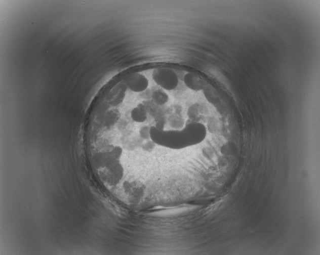 X0000066930875200604141955