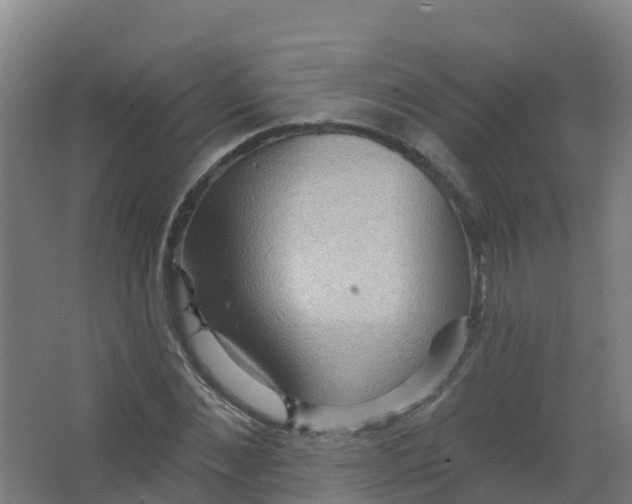 X0000066930876200604141955