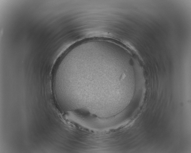 X0000066930877200604141955