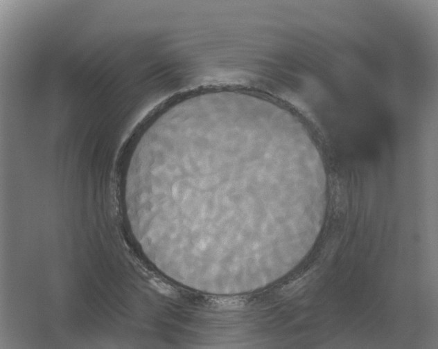 X0000066930878200604141955