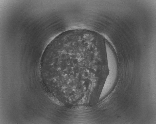 X0000066930879200604141955