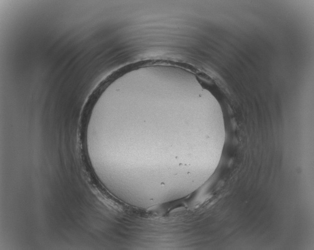 X0000066930880200604141955