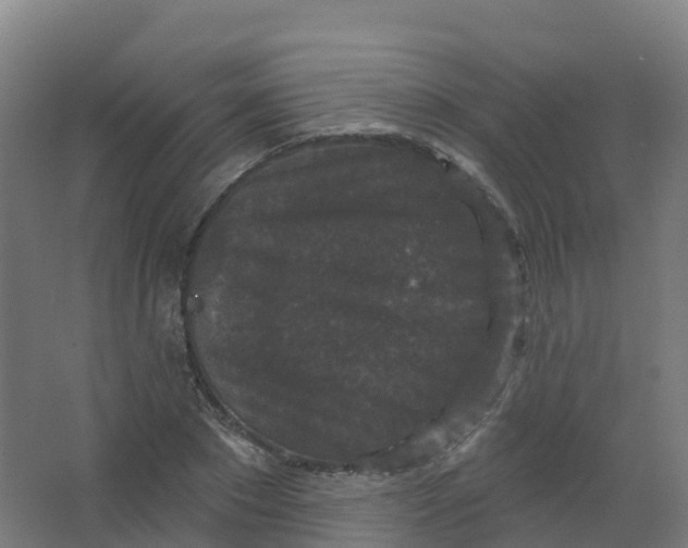 X0000066930881200604141955