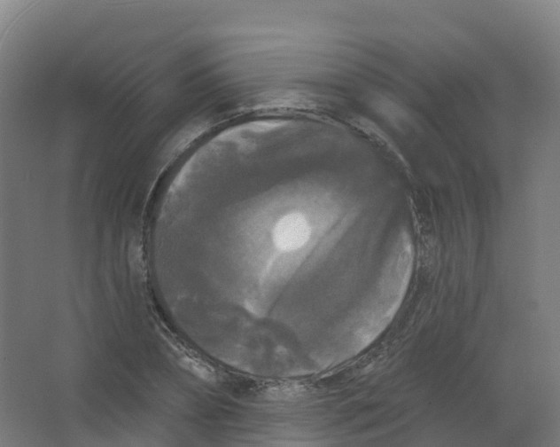 X0000066930882200604141955