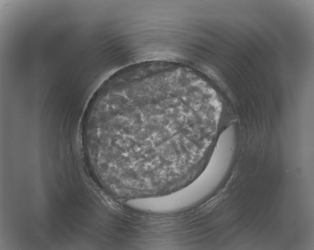 X0000066930883200604141955