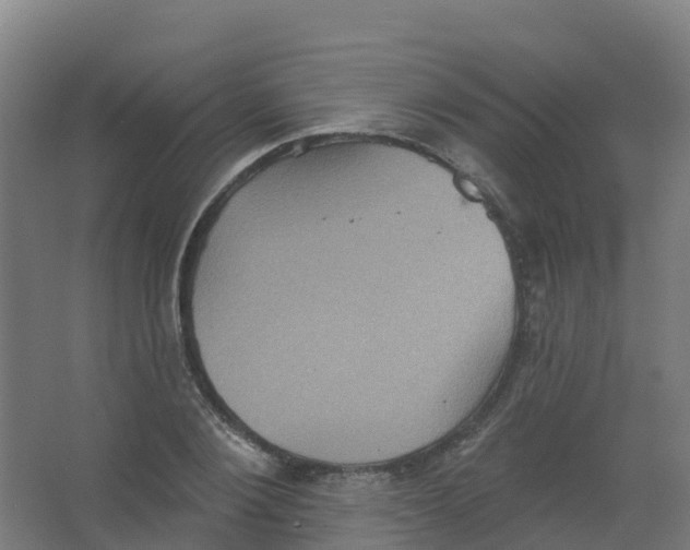 X0000066930884200604141955