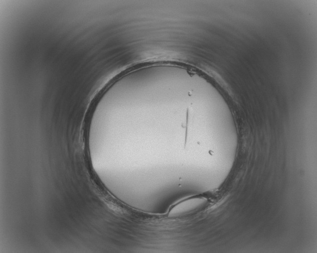 X0000066930885200604141955