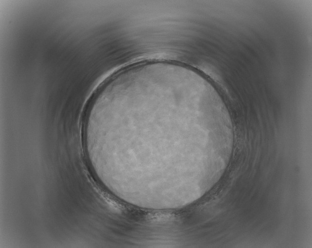 X0000066930886200604141955