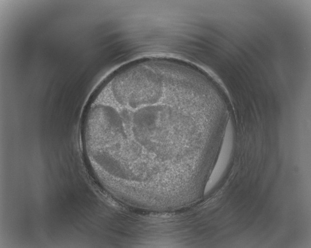 X0000066930887200604141955