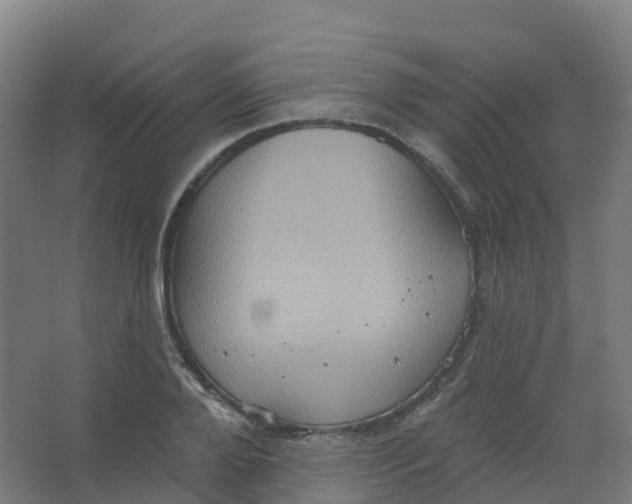 X0000066930888200604141955